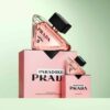 prada paradoxe still life range 7ml 90ml carton bottle 1x1 rgb dmi image na no cta